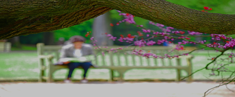 a woman sitting on a bench in the park