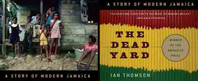 book cover for the dead yard