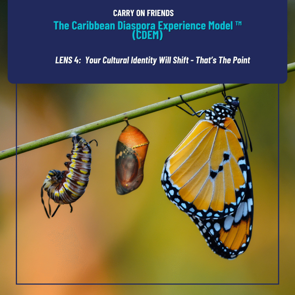 Caribbean Diaspora Experience Model Lens 4